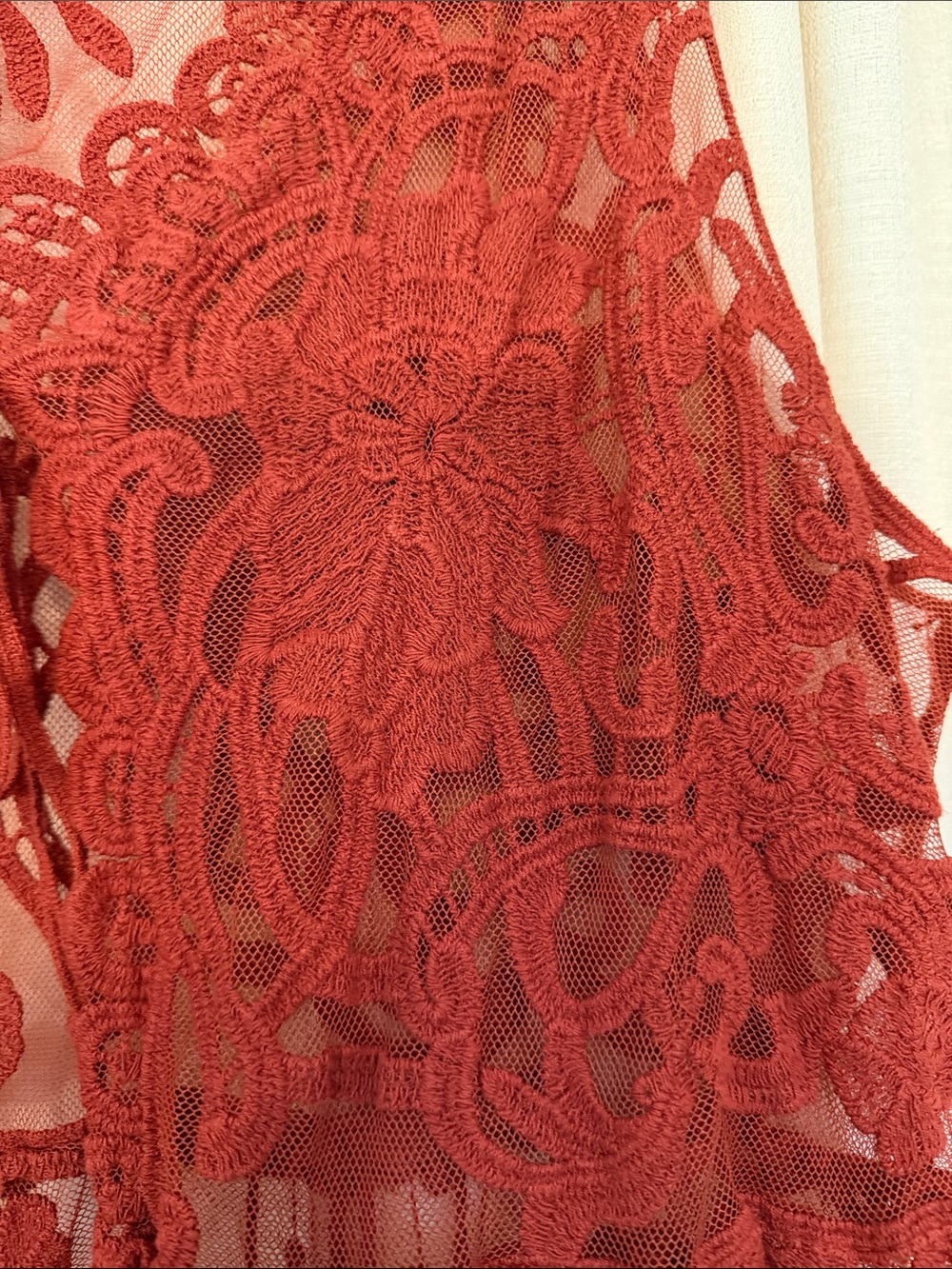 ViViD Rust Colored Lace Overlay Top - Picture 2 of 7
